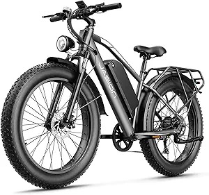 Jasion EB5 MAX electric bike